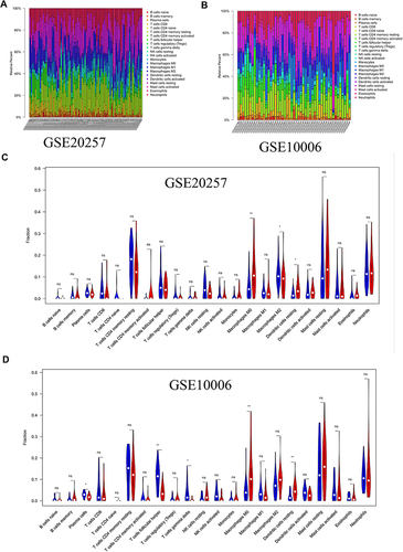 Figure 1 Immune microenvironment of airway tissues in healthy controls and COPD patients. (A) Relative proportions of infiltrating immune cells in GSE20257. (B) Relative proportions of infiltrating immune cells in GSE10006. (C) Differences of immune cells composition between healthy controls and COPD patients in GSE20257. (D) Differences of immune cells composition between healthy controls and COPD patients in GSE10006. Blue represents healthy controls; red represents COPD patients. ns, no significance; *P < 0.05, **P < 0.01.