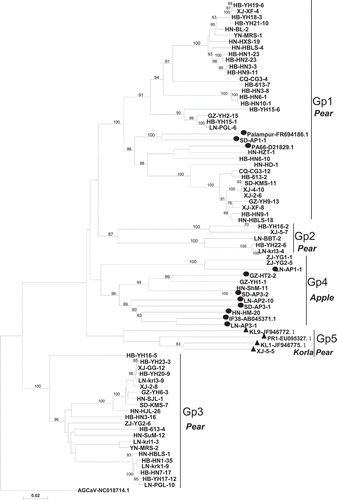 Fig. 1 (Continued).