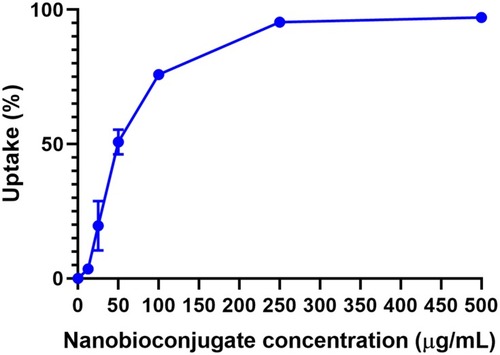 Figure 7 Uptake efficiency of BUFII-Rhodamine B-PEA-Magnetite nanobioconjugates on THP-1 cells. The efficiency was calculated by measuring the fluorescence intensity prior to and after cellular delivery of the nanobioconjugates. Saturation was achieved for concentrations above 250 µg/mL. A linear uptake regime was observed up to about 50 µg/mL.