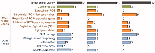 Figure 3. Summary on adverse effects of Ag, CuO and ZnO nanoparticles in mammalian cell cultures. Ten papers were selected for each nanoparticle; numbers on graphs show the number of articles where the indicated effect was studied and observed as a positive result (data are summarized from Supplemental Tables SIV–SVI).