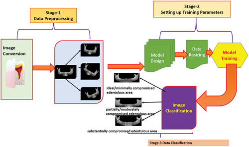 Figure 12. Multiclassification of dental X-ray images using SqueezeNet, ResNet-50 and EfficientNet-b0 DNN for patient clinical treatment.