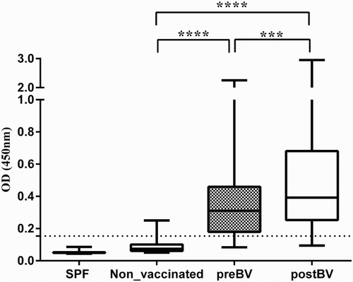 Figure 3. Performance of MP15 ELISA with non-vaccinated and vaccinated commercial chicken sera to detect antibodies against H5. SPF (Panel 3), birds (n = 56) reared in isolation and antibody free to all known avian pathogens; Non-vaccinated (Panel 4), commercial broilers (n= 45) and layers (n = 85) of different ages (Australian origin) not vaccinated with any AIV vaccines; preBV, commercial layers (n= 150) (Indonesian origin Panel 5) vaccinated unknown number of times before collection of sera at between 15 and 17 weeks; postBV, commercial layers (n= 150) (Indonesian origin Panel 5) vaccinated at between 16 and 18 weeks of age and sera collected at between 3 and 4 weeks after vaccination. All sera were tested at 1:400 dilution. Whiskers represent minimum and maximum OD values; line inside the bars represents the median OD values, dotted line represents the cut-off value of 0.15. ***P < 0.001 and ****P < 0.0001.