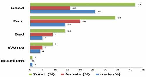 Figure 3. Assessment of men’s health on a scale of 1–5