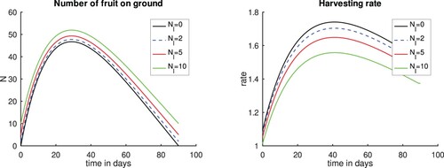 Figure 9. Plots varying the number of fruits left on the ground Nl. Left panel, Number of fruits. Right panel, Harvesting rate. c=10,γ=0,Nmax=100 and Nl=0; Nmax=98 and Nl=2; Nmax=95 and Nl=5; Nmax=90 and Nl=10. Observe that the first case correspond to one of the cases preseted in Figure 6. Time t = 0 corresponds to the time when the first fruits fall to the ground.