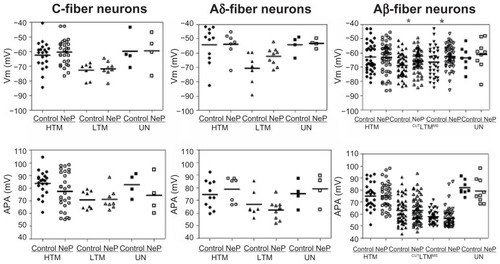 Figure 2 Comparison of action potential resting membrane potential and amplitude of dorsal root ganglion neurons between control and neuropathic rats. Scatter plots show the distribution of the variables with the median (horizontal line) superimposed in each case.