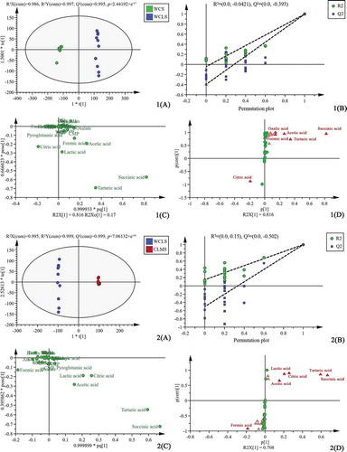 Figure 2. The OPLS-DA scores plots (1(A), 2(A), 3(A) and 4(A)), permutation plot (1(B), 2(B), 3(B) and 4(B)), OPLS-DA loading plot (1(C), 2(C), 3(C) and 4(C)) and corresponding S-plot (1(D), 2(D), 3(D) and 4(D)) based on the comparison of 4 groups of chicken soup data (1. WCS/WCLS; 2. WCLS/CLMS; 3. CLMS/CBMS; 4. WCS/CSS)