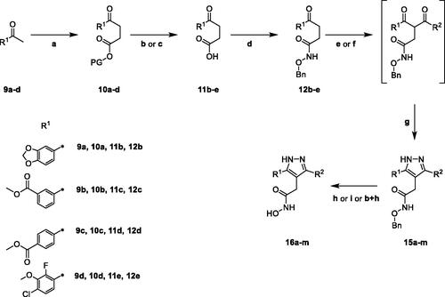 Scheme 2. Synthesis of functionalised 3,5-diarylpyrazole hydroxamic acid derivatives with variation of both aryl moieties. Reagents and conditions: (a) BrCH2COOMe for 10a, BrCH2COOtBu for 10b–d, DMPU, LiHMDS, THF, −60 °C to RT (60–100%); (b) LiOH*H2O, THF/H2O (3:1, v/v), RT (for 11b, 99%); (c) TFA/DCM (1:1, v/v), RT (for 11c–e, 71–99%); (d) Bn-ONH2*HCl, TBTU, DIPEA, DMF, RT (48–78%); (e) R2-COCl or acid anhydride, LiHMDS, toluene, 0 °C to RT (for 15a,k); (f) i: R2-COOH, CDI, THF, RT, ii: LiHMDS, toluene, 0 °C to RT (for 15b–j,l,m); (g) N2H4*H2O, AcOH, toluene, EtOH, THF, RT to 50 °C (7–56%); (h): H2, 4 bar, Pd/C, MeOH/THF (1:1, v/v, for 16a,e,f,k, 10–69%), RT; (i) BBr3, DCM, 0 °C to RT (for 16b–d, g–j, l, m, 1–26%).