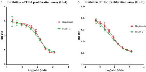 Figure 2. MAb4-2 possesses abilities to inhibit TF-1 cell proliferation mediated by either IL-4 or IL-13. (a) mAb4-2 inhibited IL-4-induced TF-1 proliferation in a dose-dependent manner. Dupilumab, a marketed anti-IL-4Ra mAb, serves as a control mAb; (b) mAb4-2 inhibited IL-13-induced TF-1 proliferation in a dose-dependent manner. Dupilumab serves as a control mAb.