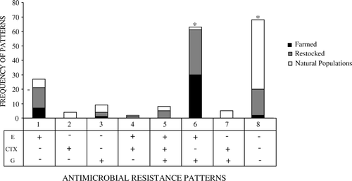 Figure 3.  Frequency of different antimicrobial resistance patterns observed in faecal E. coli from farmed, restocked and wild red-legged partridge. E, enrofloxacin; CTX, cefotaxime; G, gentamicin; −, no growth at/above the breakpoint concentration of the corresponding antimicrobial; +, growth at/above breakpoint concentration of the corresponding antimicrobial. *Significantly higher frequency of resistance pattern for farmed and restocked partridges and for natural populations (P<0.001).