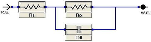 Figure 8. Electrical equivalent circuit used to model the results of impedance.