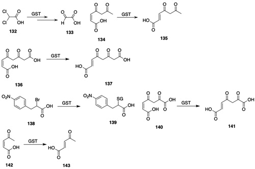 Figure 11. GSTZ substrates. 132, dichloroacetic acid (DCA); 133, glyoxylic acid; 134, maleylacetone; 135, fumarylacetone; 136, maleylacetoacetic acid (MAA); 137, fumarylacetoacetic acid; 138, (±)-2-bromo-3-(4-nitrophenyl)propanoic acid; 139, 2-(glutathion-S-yl)-3-(4-nitrophenyl)propanoic acid; 140, maleylpyruvic acid; 141, fumarylpyruvic acid; 142, cis-β-acetylacrylic acid ((Z)-4-oxopent-2-enoic acid); 143, (E)-4-oxopent-2-enoic acid.