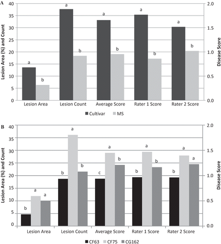 FIGURE 1 Main effect due to Group (A) and Isolate (B) of detached strawberry leaves inoculated with two Colletotrichum fragariae (CF63 and CF75) isolates and one C. gloeosporioides (CG162) isolate. Within each variable, bars with different letters are significantly different at p < 0.05 according to Fisher's protected least significant difference test.