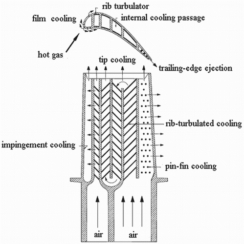 Figure 1. The blade internal cooling passages.
