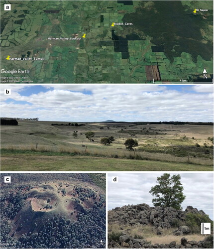 Figure 2. Examples of materials available to students taking the Level 2 volcanic landforms and igneous processes (GEOL20003) virtual field excursion at the University of Melbourne. (a) Waypoints for localities on the Harman’s Valley lava flows and their source, Mt Napier, in the Newer Volcanics Province of western Victoria. (b) Photograph of Mt Napier and the Harman’s Valley flows taken from Harman’s Valley Lookout waypoint in (a), with scale and direction to be inferred by students. Students were required to sketch the margin of the Harman’s Valley flow series as they interpreted it from Google Earth (the margin is visible, unmarked, in Figure 2a), to deduce and demonstrate how the younger flows follow a river valley that cuts through older lavas. (c) View of Mt Napier’s scoria cone from Google Earth. (d) Photograph of a tumulus found in the Harman’s Valley lava flows at the waypoint shown in (a). Students characterized the shape of Mt Napier to help deduce its origin and investigated a series of sinkhole-like features in the Harman’s Valley based on their geomorphology to evaluate hypotheses regarding the nature of tumuli in the lava flow.