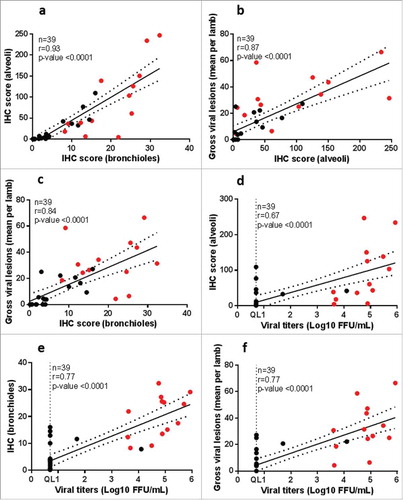 Figure 9. Correlation between independently scored readouts in hRSV – infected neonatal lambs. Correlation coefficient was calculated by Spearman's rank correlation test for the indicated parameters. Mock-infected lambs are excluded from the analysis. Black dots show the ALX-0171-treated lambs; red dots show the placebo-treated lambs. Dotted lines represent the 95% confidence bands. QL = Quantification limit; IHC = Immunohistochemistry.