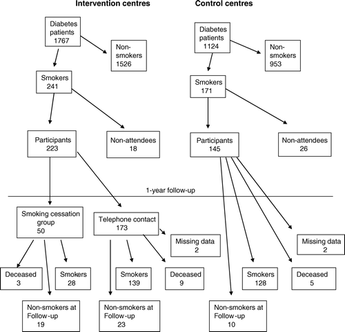 Figure 1.  Flow chart of the study.