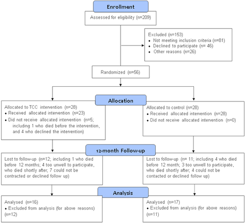 Figure 1 CONSORT Flow Diagram.