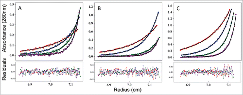 Figure 8. Measuring the affinity of infliximab self-association using AUC-SE. Experimental data (scatter plots) were fit to a monomer-dimer equilibrium model (C(cal), solid lines) to determine the equilibrium dissociation constant (KD) of 21 μM. Infliximab was evaluated at 0.07 mg/mL (A), 0.2 mg/mL (B), and 0.6 mg/mL (C). Samples were run at rotor speeds of 7500 (red), 10000 (blue), 12500 (green) and 15000 rpm (purple).