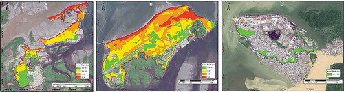 Figure 12. Inundation depth in meters, of the worst-case scenario of the slip deficit model for the Tumaco, Morro and Cascajal islands]