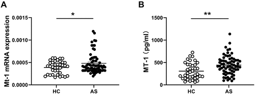 Figure 1 Comparison of MT1 mRNAs and protein levels between AS and HC. (A) Expressions of MT1 in PBMCs from AS patients (n = 67) and healthy controls (HC, n=38) were measured by RT-PCR, results are showed as mean± SEM. (B) Serum MT1 protein levels in AS patients (n= 67) and HC (n= 38) were measured by ELISA. Each symbol represents an individual patient and HC. Horizontal lines indicate median values. Differences between two groups were performed with unpaired Student’s t-test. *P<0.05; **P<0.01.
