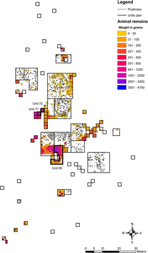 Figure 2. Horizontal distribution map of the weights (g) of recorded faunal remains across all excavated units at El Flaco. Demonstrates the location of Units 69, 71 and 72 and of postholes indicating dwellings. Stratigraphic layers are combined. (Map by Simone Casale, copyright NEXUS1492)