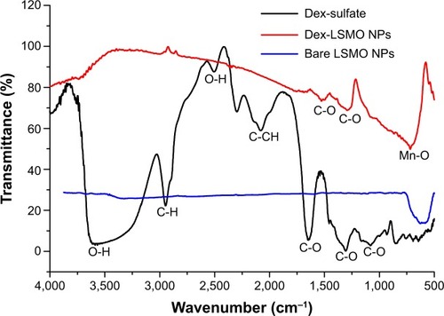 Figure 4 Fourier transform infrared spectra for Dex-sulfate, bare LSMO, and Dex-LSMO nanoparticles.Abbreviations: Dex-sulfate, dextran sulfate sodium salt; Dex-LSMO, dextran-coated LSMO; LSMO, La0.7Sr0.3MnO3; NP, nanoparticle.