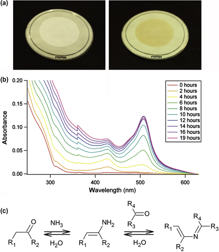 Figure 2 (Colour online) (a) Photographs of a limonene SOA sample generated by ozonolysis of d-limonene. Limonene SOA is initially white (left-hand side image) but changes color to brown (right-hand side image) after several hours of exposure to ppb levels of NH3. (b) UV–visible spectra of limonene SOA collected during ‘browning’ reactions with NH3(g). (c) A generalised reaction mechanism of carbonyl-to-amine conversion inferred from comparative analysis of ‘white’ and ‘brown’ samples using DESI/HR-MS. Reproduced with permission from Ref. [34].