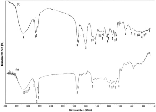 Figure 1. FT-IR spectra of PVS (a) and the lyophilized cubosomal dispersion F8 (b).