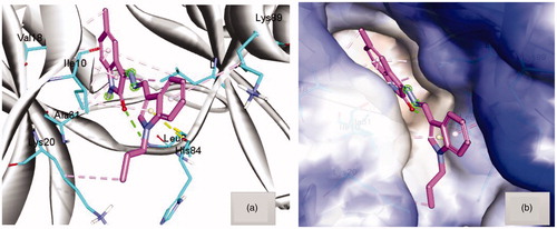 Figure 4. (a) Docking pose of hybrid 8a within the active site of CDK2 (pdb code 2BHE) showing hydrogen bond with Leu83 (green dots) and hydrophobic interaction (light purple dots). (b) Hydrophobic surface of active site of CDK2 surround compound 8a.