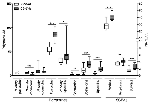 Figure 4. Cecal polyamine concentrations (µM) and SCFA concentrations (mM) of PRM/Alf (n = 12) and C3H/He mice (n = 13) associated with the SIHUMI consortium. Data are expressed as medians. Whiskers show the 5th and 95th percentile. Differences among groups were analyzed by Mann Whitney. *P ≤ 0.05; **P ≤ 0.01, ***P ≤ 0.001.