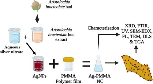 Figure 1. A diagram illustrating the process of eco-synthesizing of Ag-PMMA NC film.