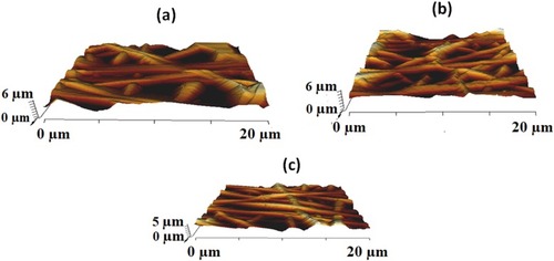 Figure 6 AFM images of (A) PE, (B) PE/WG and (C) PE/WG/TiO2. Sample with size of 1 cm * 1 cm was cut and scanned in 20 * 20 µm size with 256 * 256 pixels under normal atmosphere in Nanowizard, JPK instruments.