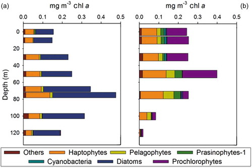 Figure 5. Depth distribution of phytoplankton groups biomass (as chl a concentration) calculated using the CHEMTAX programme at the (a) PF and (b) SSTF. The category ‘others’ comprises cryptophytes, peridinin-containing dinoflagellates and prasinoxanthin-containing prasinophytes. Prasinophytes-1 are prasinophytes without prasinoxanthin.