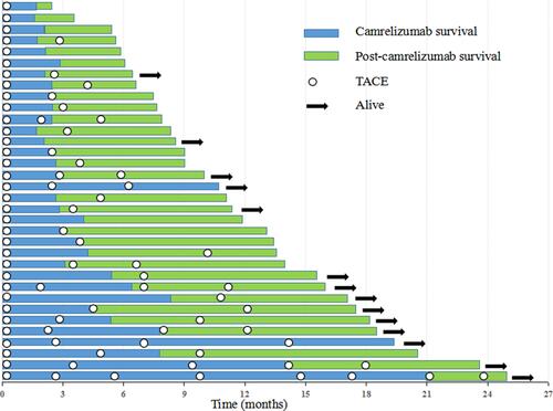 Figure 1 The swimmer’s plot shows the time of TACE, the survival of patients treated with TACE in combination with Camrelizumab, survival after discontinuation of Camrelizumab treatment, and current status.