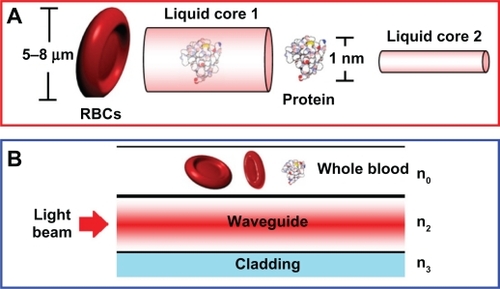 Figure 3 Schematic diagram of A) blood waveguide, B) blood waveguide structure.