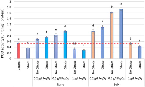 Figure 5. The POD activity of different nα-Fe2O3 and bα-Fe2O3 treatments at 4 levels (0, 0.2, 0.5, 1 g.L−1) with and without citrate interaction. Mean values followed by different letters are significantly different at P < 0.05 according to Duncan’s multiple range test.