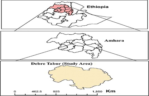 Figure 1 Map of the study are (Debre Tabor town).