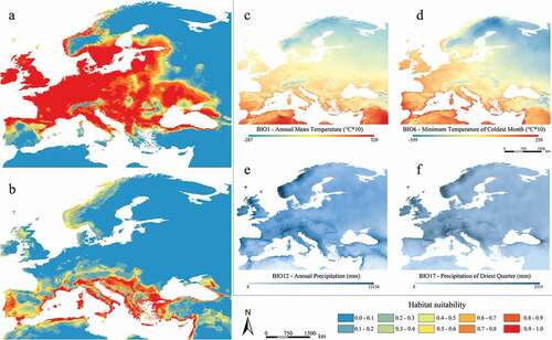 Figure 2. Predicted suitable areas for current climatic conditions for Myotis daubentonii (a) and M. capaccinii (b); distribution of the four shared and most contributing current bioclimatic variables for both species (c–f)