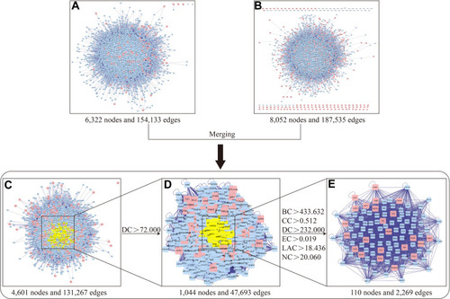 Figure 4 Identification of core targets of YZQX against AD. (A) YZQX putative targets PPI network. (B) AD-related targets PPI network. (C) The interactive PPI network of YZQX putative targets and AD-related targets. (D) PPI network of significant proteins extracted from C. (E) PPI network of candidate YZQX targets for AD treatment extracted from D.