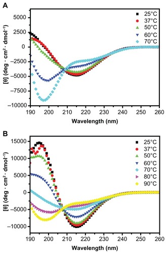 Figure 4 CD spectra of R3 and R4 (100 μM) after thermal denaturation.Notes: A: CD spectra of R3 from 25°C to 70°C. B: CD spectra of R4 from 25°C to 90°C. Peptide R3 mainly forms unordered structure at 50°C, while peptide R4 forms unordered structure when heated up to 70°C.Abbreviation: CD, Circular dichroism spectroscopy.