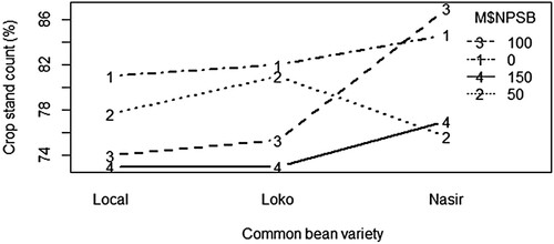 Figure 8. The effect of NPSB blended fertilizer on crop stand count of inoculated common bean varieties.