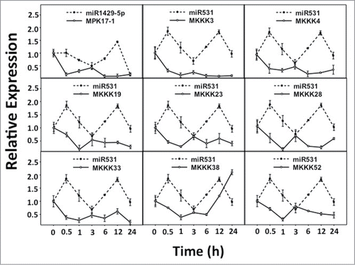 Figure 2. Expression patterns of predicted miRNA: target pairs under UV-B stress. Relative expression levels of predicted miRNA: target pairs were analyzed under UV-B stress for similar correlation patterns as the control set.