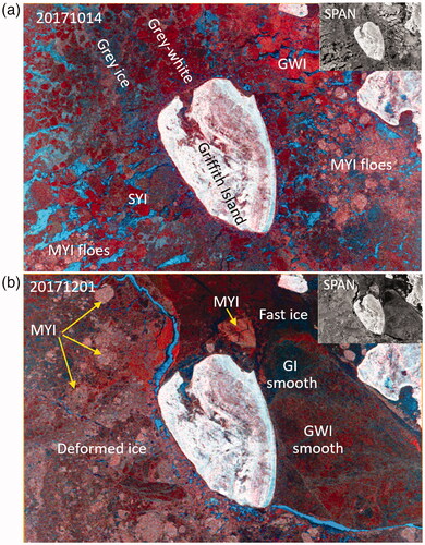 Figure 5. Scat-SeaIce composite color of a scene acquired by RADARSAT-2 FP mode on (a) 14 October 2017 and (b) 1 December 2017, with surface types labeled according to the CIS interpretation. The inset is the SPAN image.