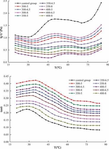 Figure 3. Effect of temperature on the storage modulus G’ and tan δ of MP under different UHP conditions