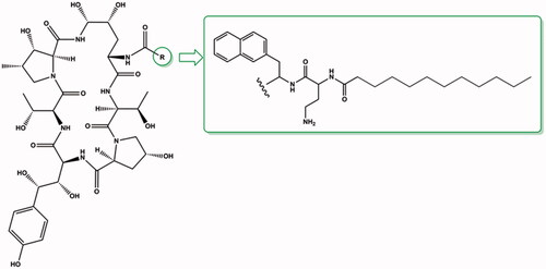Figure 11. Structure of new semi-synthetic derivative of anidulafungin (according toCitation42).