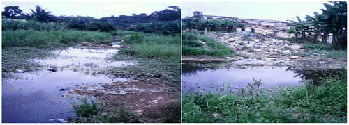 Figure 2a. River Kansawura choked with refuse and weeds; Source: Fieldwork, 2013.