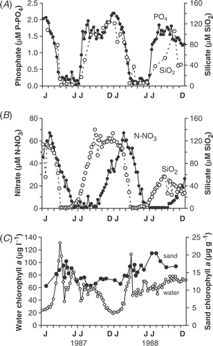 Fig 6. Seasonal variation in concentrations of: (A) inshore silica (open circles) and open lake phosphate (filled circles); (B) open lake silica (open circles) and nitrate (filled circles); (C) chlorophyll a in the open lake (open circles) and on surface sand from Bar 3 (filled circles). The silica and nitrate data for the open lake were supplied by Aquatic Science Division, Department of Agriculture Northern Ireland.