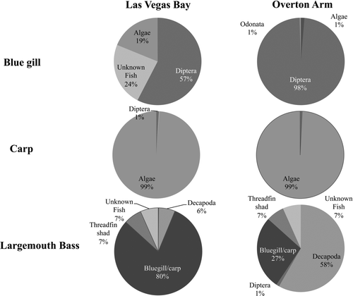 Figure 3 Diet analysis (percentage of dry weight) for bluegill, carp, and largemouth bass in Las Vegas Bay and Overton Arm collected in 2007 and 2008.