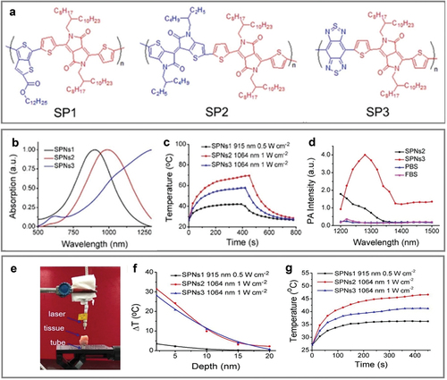 Figure 12. Enhanced photothermal conversion based on extension of absorption region to NIR-II biological window. (a) Chemical structures of CP1–CP3. (b) Absorption spectra of CPN1–CPN3. (c) Photothermal heating and cooling curves of CPN solutions under 915-nm and 1064-nm laser irradiation based on MPE limiting laser conditions. (d) Photoacoustic spectra of CPN2–CPN3. (e) Image of deep-tissue NIR-II PTT experimental sample setup: tube was placed under chicken-breast tissue layers. (f) Fitted temperature change curves of SPN solutions under 915-nm or 1064-nm irradiation according to different depths of chicken breast tissue. (g) in vivo deep-tissue photothermal heating effects of SPNs under different laser irradiation wavelengths. Reprinted with permission from [Citation153].