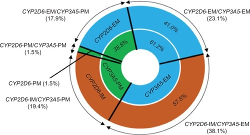 Figure 3 Prevalence of combined CYP2D6 and CYP3A5 phenotype in Thai breast cancer patients undergoing TAM treatment (N=134).